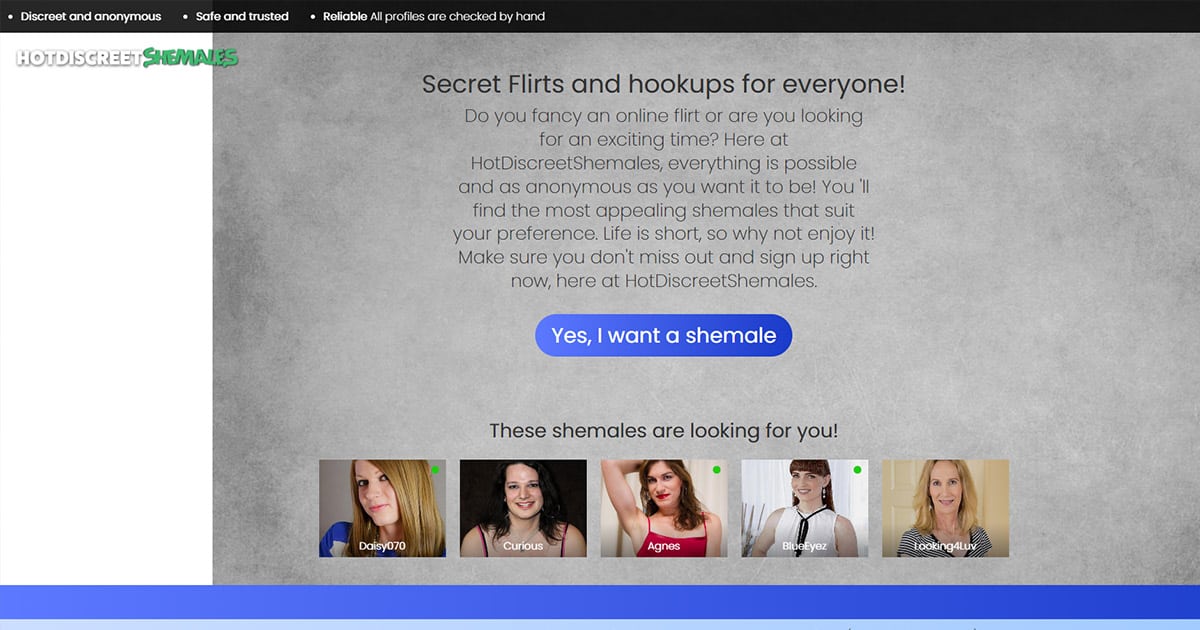 HotDiscreetShemales Review